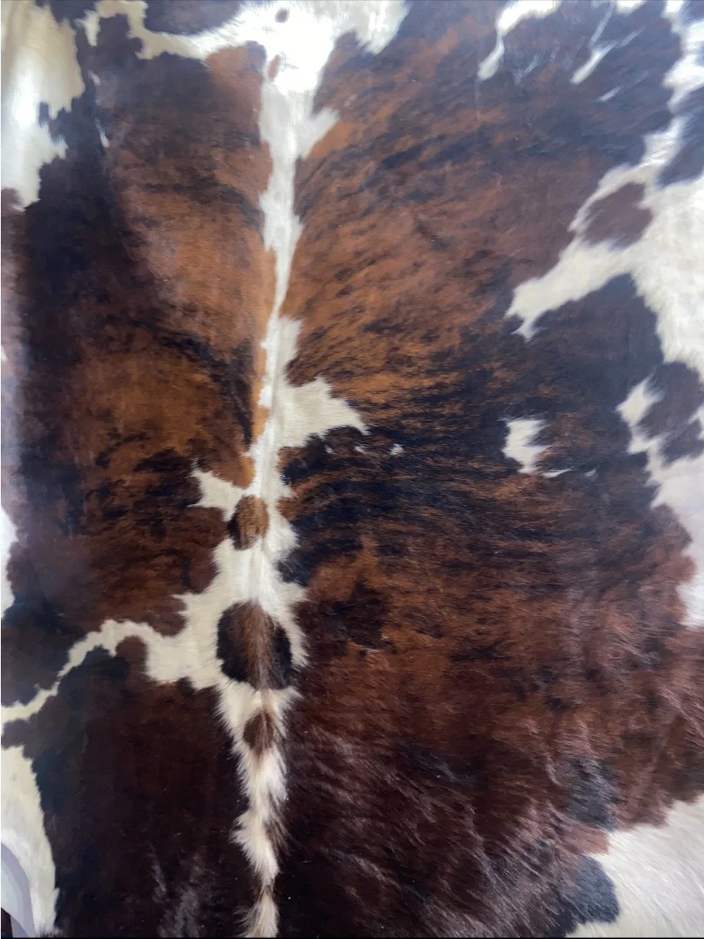 Cowhide rugs